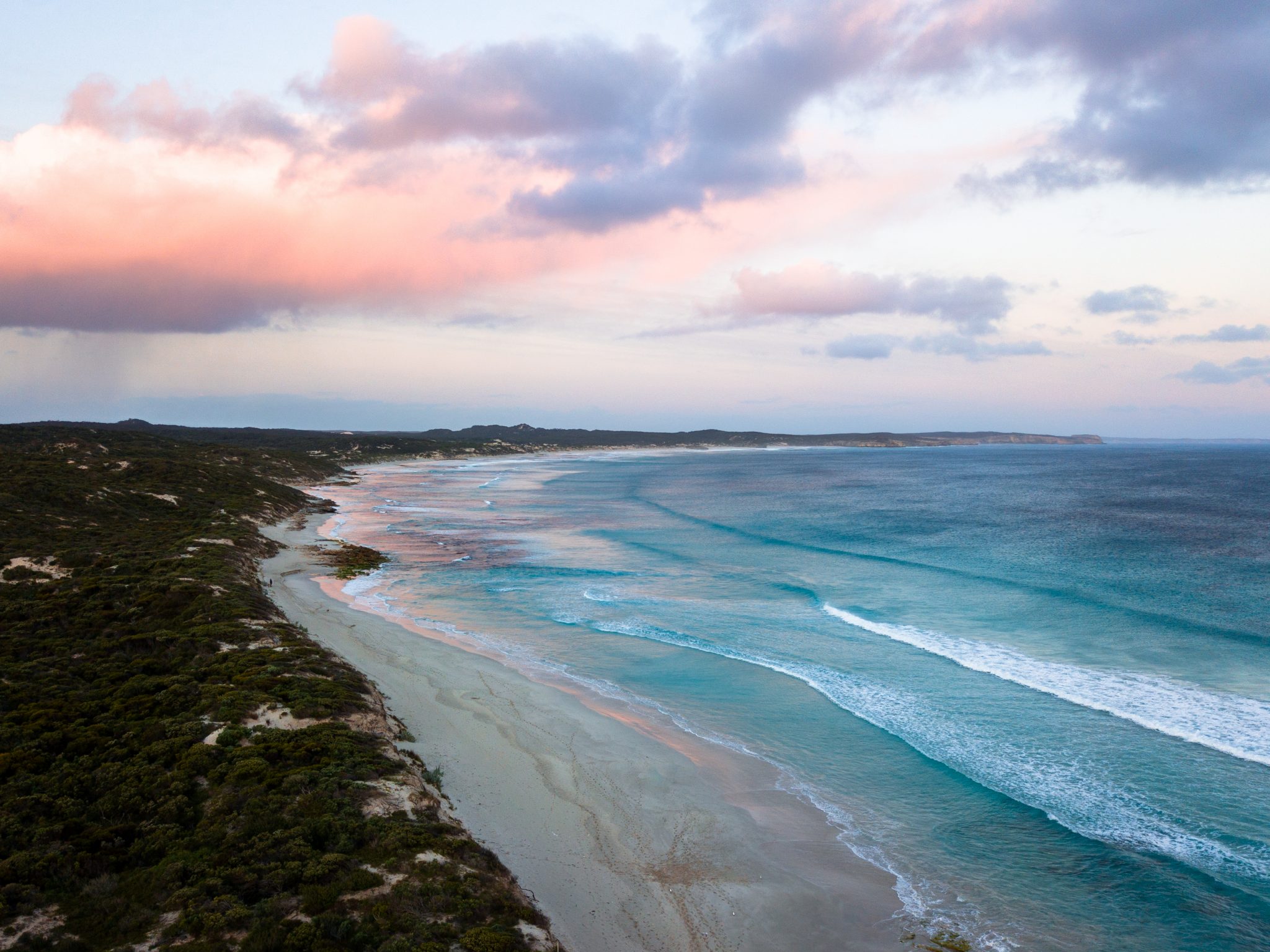 Are you looking for the best place to visit in South Australia? Kangaroo Island has so much to offer! From incredible wildlife, pristine beaches, rugged coastline and insanely good local food and wine, it's somewhere you cannot miss. Here's my guide to the top things to do on Kangaroo Island and my ultimate 4 day Kangaroo Island itinerary road trip. #kangarooisland #southaustralia #southaustralia #visitkangarooisland #visitsouthaustralia #backpackingaustralia #australiaroadtrips #topplacesinaustralia